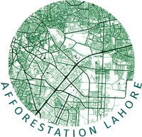  Afforestation Lahore 