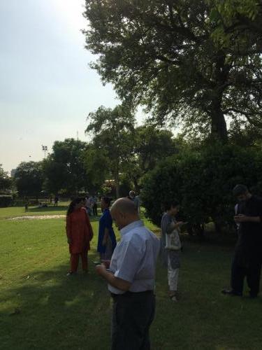 Doongi Ground Plantation